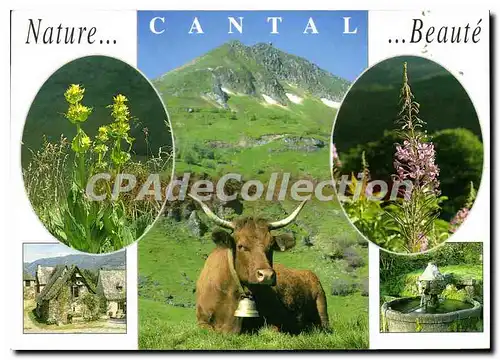 Cartes postales moderne En Auvergne Divers aspects du Cantal