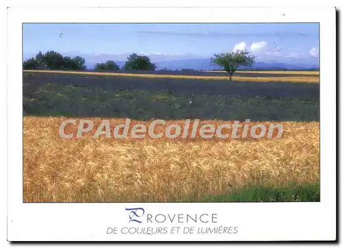 Cartes postales moderne Provence de Couleurs et de Lumieres