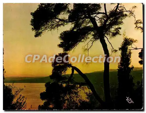 Cartes postales moderne Au soleil de la Cote d'Azur Crepuscule sur la Mediterranee