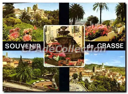 Cartes postales moderne La Cote d'Azur Grasse Alpes Maritimes vue generale sur la Vieille Ville les jardins fleuris le