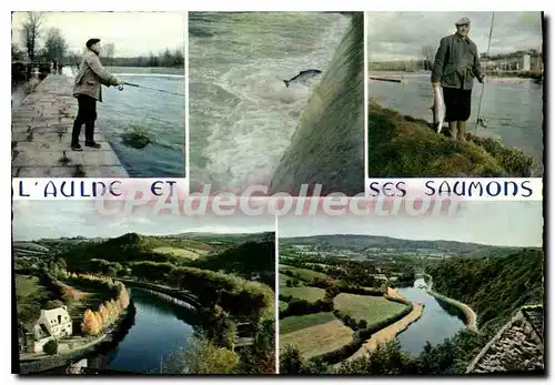 Cartes postales moderne La Bretagne en couleurs l'Aulne et ses saumons antre chateaulin et chateauneuf du Faou
