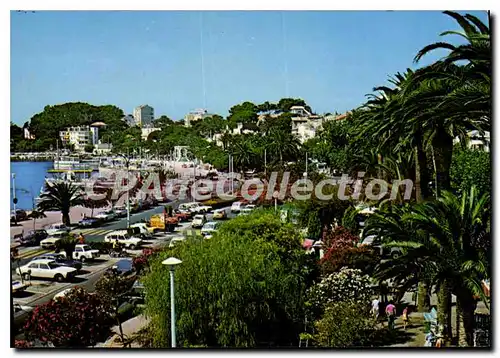 Cartes postales moderne Charme et Soleil de la Cote d'Azur Bandol les jardins