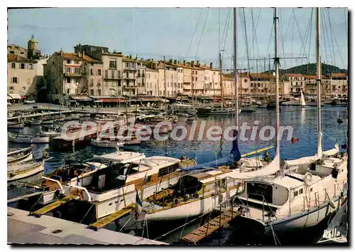 Cartes postales moderne La Cote des Maures Saint Tropez Var le port