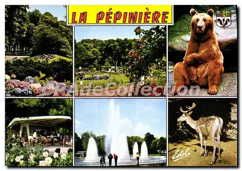 Cartes postales moderne Nancy Meurthe et Moselle la Promenade et le parc de la Pepiniere l'Horloge Florale la roseraie