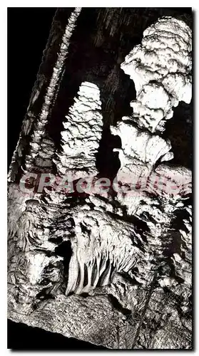 Cartes postales moderne En Parcourant les Gorges du Tarn l'Aven Armand les chaux Fleurs