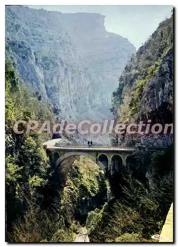 Cartes postales moderne Les Gorges du Loup Alpes Mar