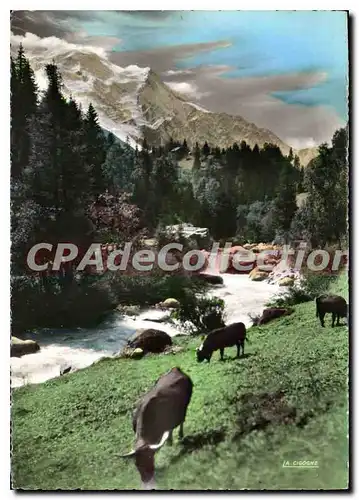 Cartes postales moderne Chamonix Haute Savoie les bords de l'Arve et le Mont Blanc