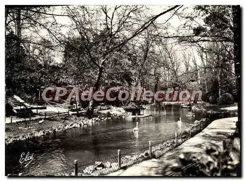 Cartes postales moderne La Rochelle Ch Mar la Riviere dans les Parcs