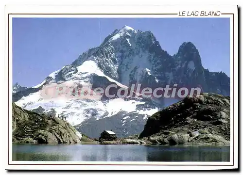 Cartes postales moderne Massif du Mont Blanc le lac Blanc l'Aiguille verte et les Drus