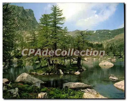 Cartes postales moderne Vallee des Merveilles Alpes Maritimes Lac Vert de Fontanable