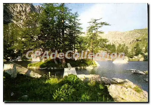 Cartes postales moderne Vallee des Merveilles Alpes Maritimes Lac Vert de Fontanable