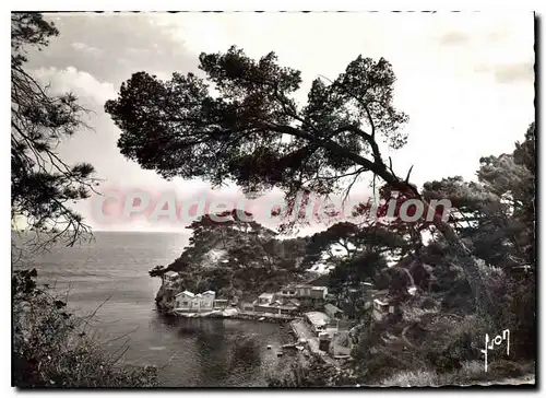 Cartes postales moderne Toulon Var Le Cap Brun Port Magaud