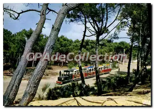 Moderne Karte Bassin d'Arcachon Le Petit Train du Cap Ferret