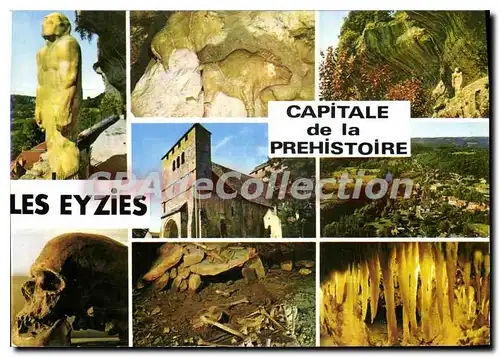 Cartes postales moderne Les Eyzies Dordogne Capitale de la Prehistoire l'Homme de Neunderthal Bison d'Argile