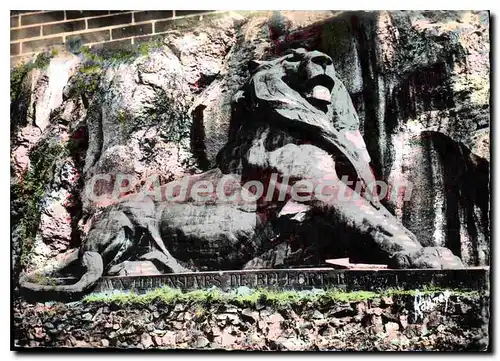 Cartes postales moderne Images de France Belfort T de B Le lion