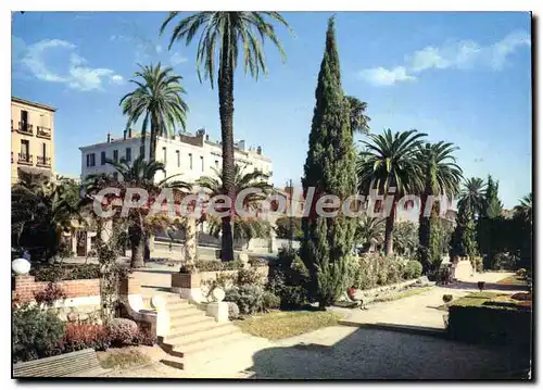 Cartes postales moderne Hyeres les palmiers jardin du lyc�e