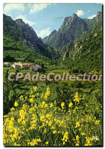 Cartes postales moderne En Fracourant ne Languedoc Aux Environs de Lamalou les Bains Herault