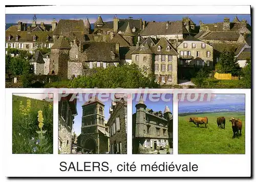 Cartes postales moderne Salers Cantal Village de France Vue panoramique sur la cite moyenageuse La gentiane