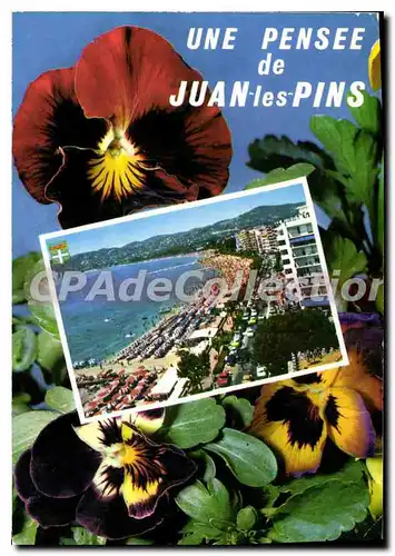 Cartes postales moderne La Cote d'Azur Juan les Pins l'Avenue Guillaumont et la plage