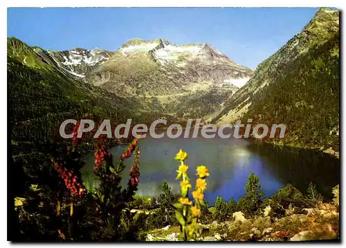 Cartes postales moderne Sites Pyreneens En Hauve Vallee d'Aure Lelac d'Oredon