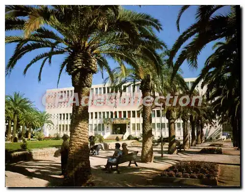 Cartes postales moderne La Cote d'Azur Pays du Soleil Hyeres les Palmiers Var