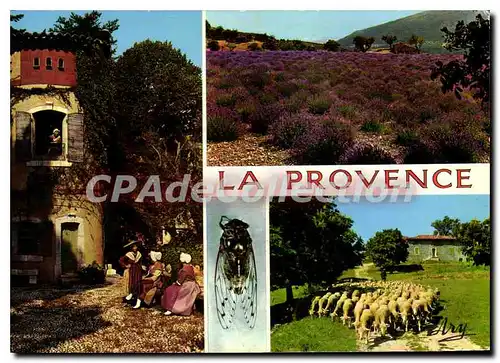 Cartes postales moderne La Provence