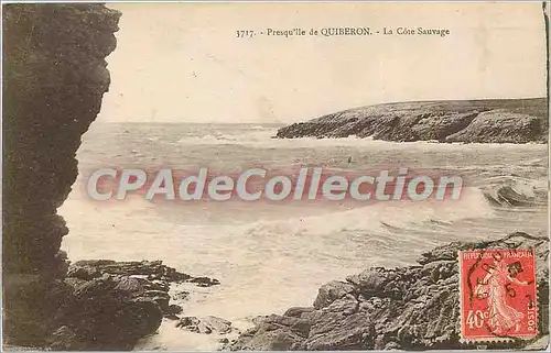 Cartes postales Presqu'ile de Quiberon La Cote Sauvage