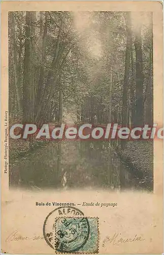Cartes postales Bois de Vicennes Etude de Paysage