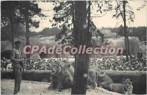 Cartes postales Bois de Vicennes Paris Museum National d'Hostoire Naturelle Parc Zoologique