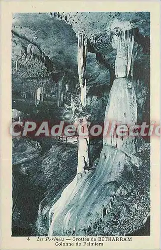 Ansichtskarte AK Pyrenees Grottes de Betharram Colonne de Palmiers