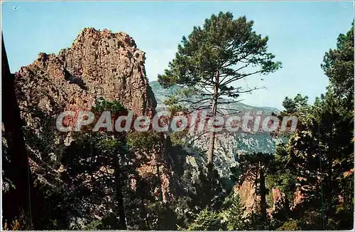 Cartes postales La Corse oasis de Beaute les Calanques