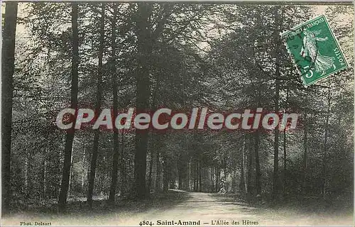 Cartes postales Saint Amand L'Allee des Hetres