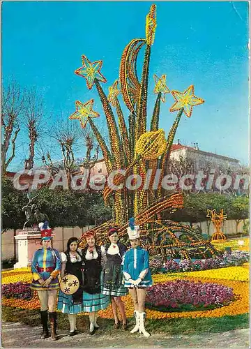 Cartes postales moderne Menton Fetes du Citron Les grands jardins Boves decores