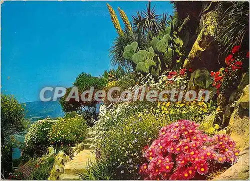 Cartes postales moderne La Cote d'Azur miracle de la nature jardin fleuri de la Cote d'Azur