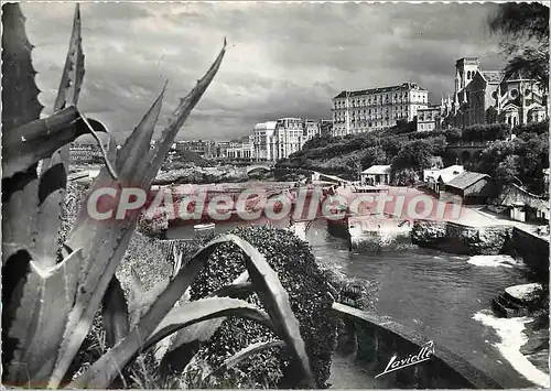 Cartes postales moderne Biarritz le Port des Pecheurs