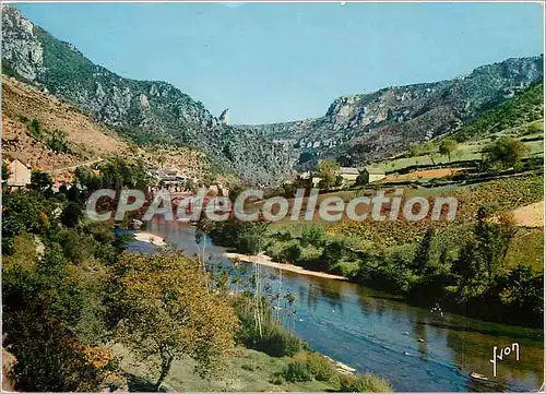 Moderne Karte Gorges du Tarn (Lozere) Les Vignes