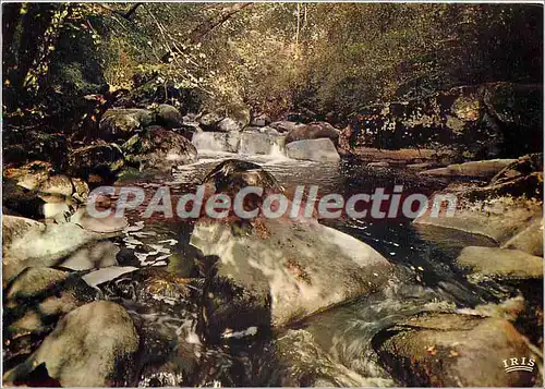 Cartes postales moderne La Vienne Touristique Env de Montmorillon le saut de la Brame