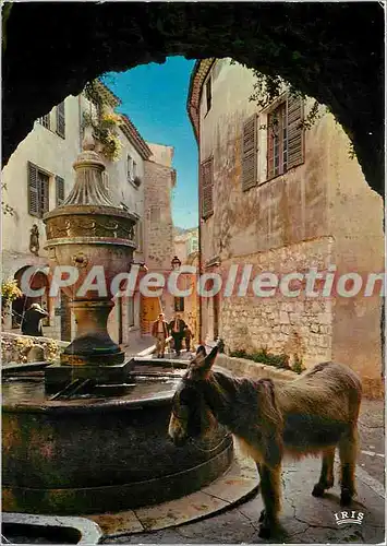 Cartes postales moderne La Cote d'Azur Saint Paul de Vence Halre a la Fontaine