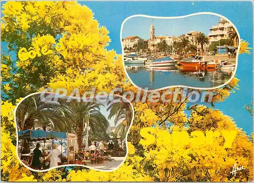 Cartes postales moderne Lumiere et Beaute de la Cote d'Azur Souvenir de Sanary sur Mer