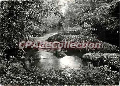 Cartes postales moderne Huelgoat (Finistere) La riviere d'argent dans la lumiere glauque du sous bois