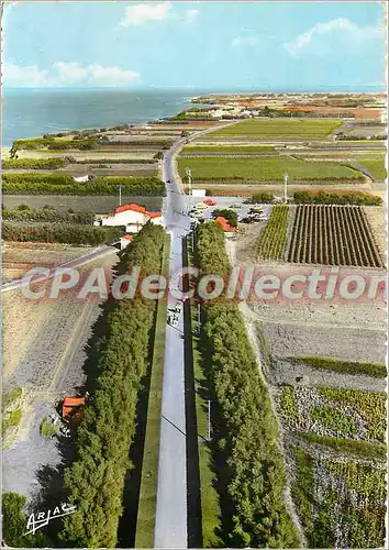 Moderne Karte Ile d'Oleron Route de Chassiron vue du haut du Phare