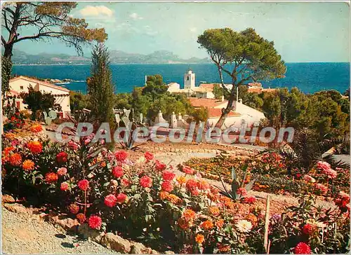 Moderne Karte Calanques des Issambres le Village dans une corbeille de fleurs