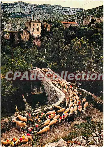 Cartes postales moderne Causse du Larza Navacelle Aujourd'hui et Toujours