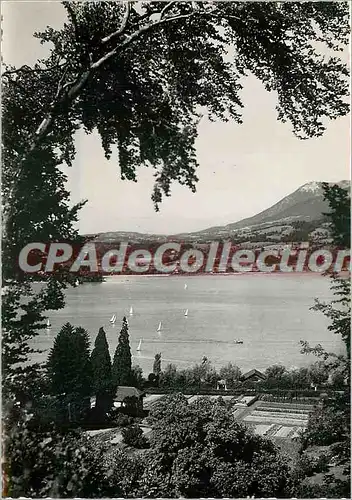 Cartes postales moderne Annecy Vue sur le lac