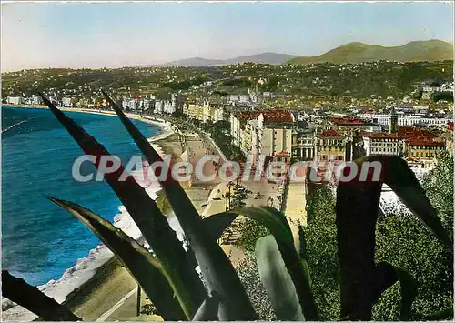 Cartes postales moderne Nice Vue generale sur la Ville et la Baie des Ange