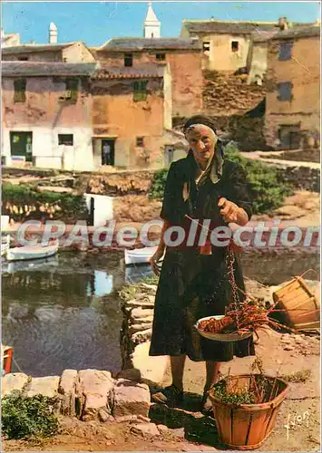 Cartes postales moderne Lumiere de France de langoustes fait bon poids dise reputee sans rivale