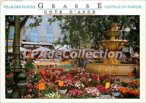 Cartes postales moderne Grasse (A M) Villes des fleurs Capitale du Parfun le marche aux fleurs et la Fontaine