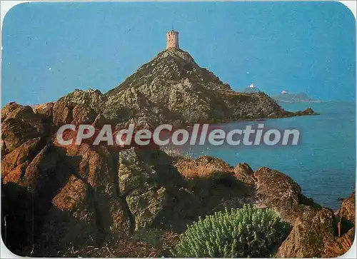 Cartes postales moderne Panorama de la Corse Ajaccio les iles Sanguinaires au Printemps