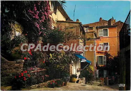 Cartes postales moderne La Cote D'Azur Bormes les Mimosas un coin pittoresque