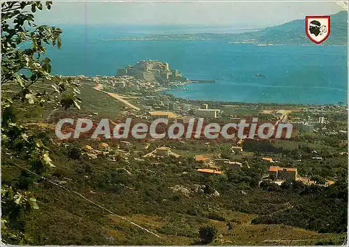 Cartes postales moderne Corse Ile D'Amour Calvi Vue panoramique prise de la chapelle de N D de la Serre